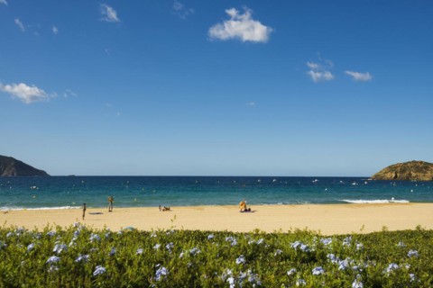 Sandy beach beach
