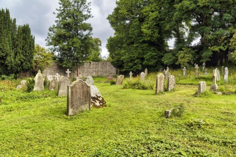 Old gravestones in a meadow