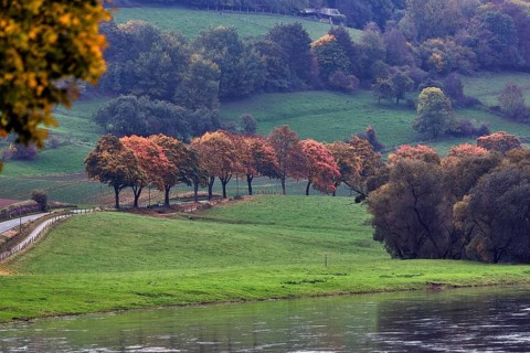 Autumn landscape on the Weser