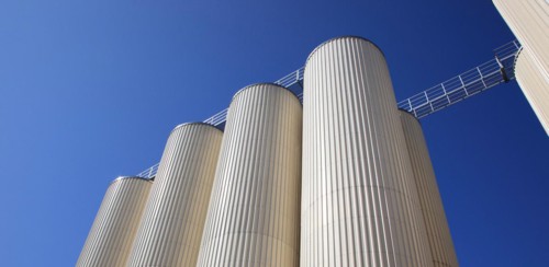 Beer storage tanks of a brewery