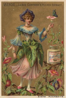 Picture series Flower Girl 2