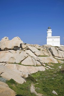 Wild rocks