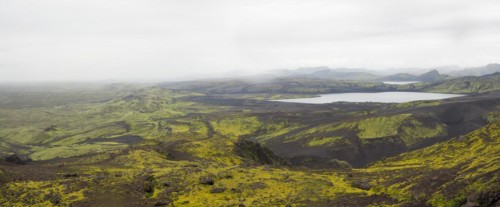 Moss-covered volcanic landscape