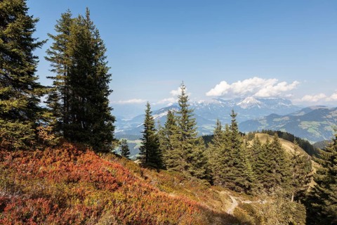 Kitzbuehel Alps