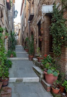 Street with flowerpots