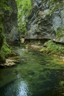 A stream