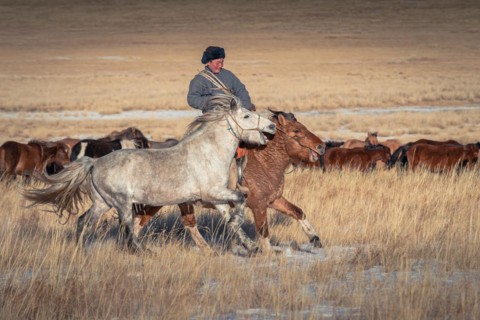 Riders in winter. Dornod Province