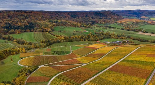 Drone image