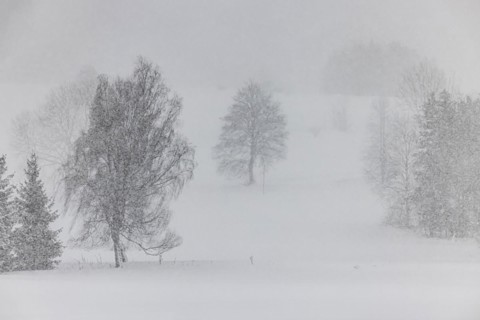 Winter landscape in the Swabian Alb