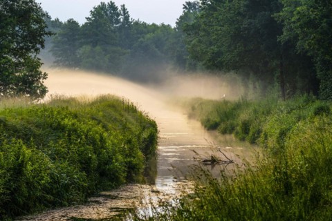 Morning fog over the Ems in the Ems lowlands near Rietberg