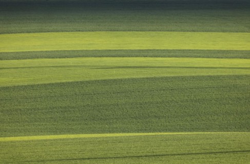 Agriculture fields in spring near Neckarwestheim