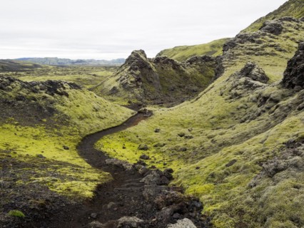 Moss-covered volcanic landscape