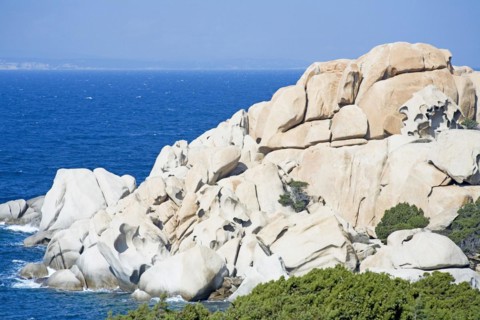 Wild rocks