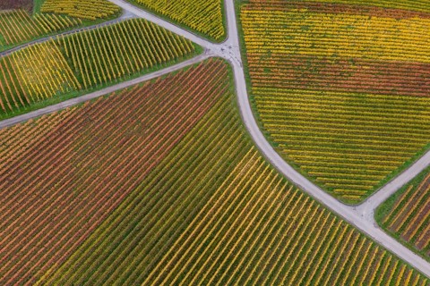 Drone image