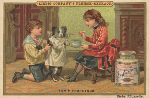 Picture series Childrens Scenes II