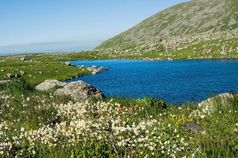 Highland lake in green natural background in Artvin province of Turkey