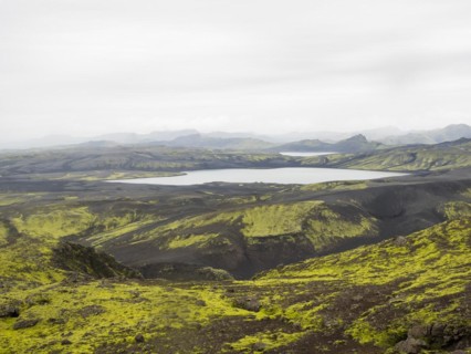 Moss-covered volcanic landscape