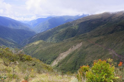 Tropical Cloud Forest landscape