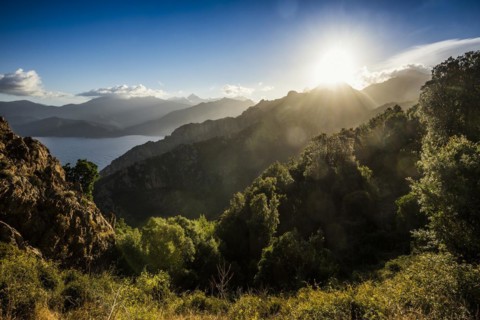 Sunrise
