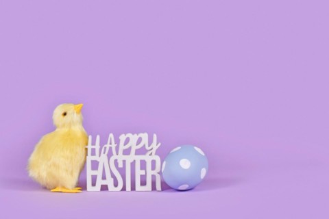 Decorative Easter chick