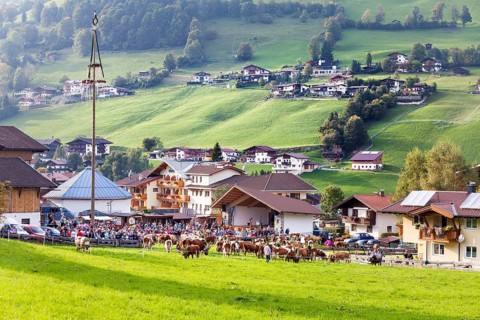 Abtrieb