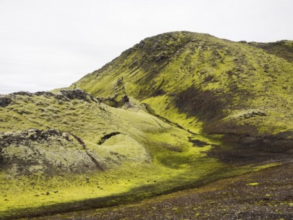Moss-covered volcanic landscape