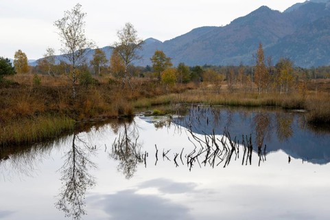 Autumn in the Kendlmuehlfilzen high moor