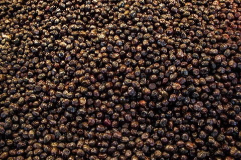 Turkish style prepared olives in the market stands