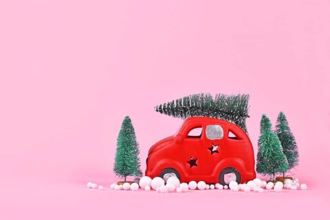 Miniature red car transporting christmas tree on pink background