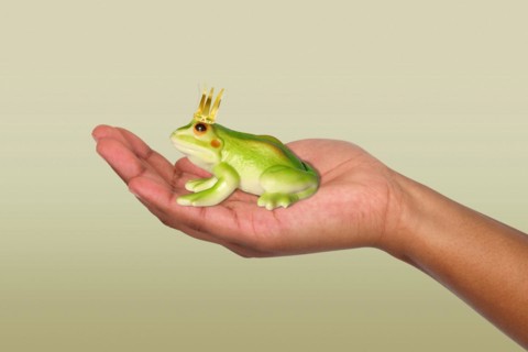 Frog Prince on the Hand