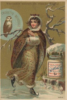 Picture series Birds 2