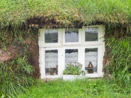 Window