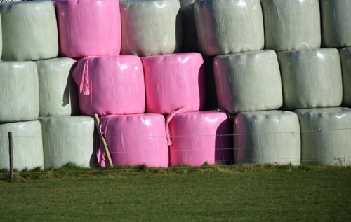 Silage bales