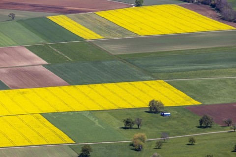 View from Breitenstein over the Alb foothills with agricultural meadows and flowering rape fields