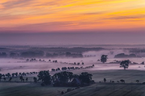 View from the Kniepenberg lookout tower of sunrise and morning fog in the Lower Saxony Elbe floodplain near Neu Darchau