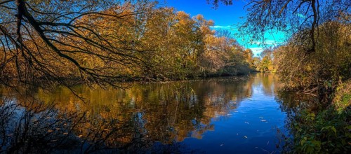 Panorama of the river Leine in autumn with trees with colourful leaves and blue sky