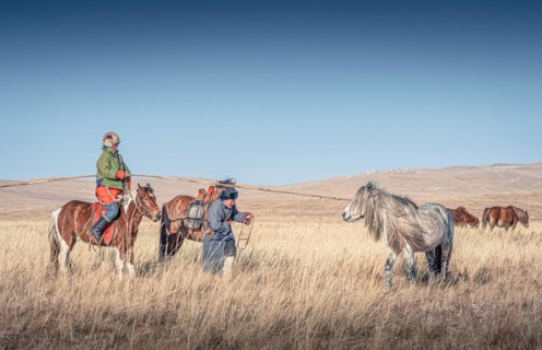 Riders catching the horse with the long pole. Dornod Province