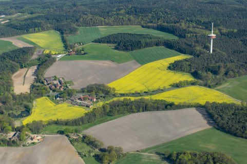Aerial view of agricultural landscape in spring