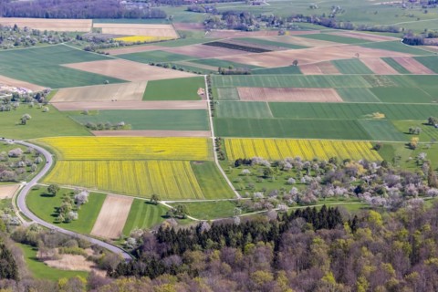 View from Breitenstein in spring of the Alb foreland with its agricultural land