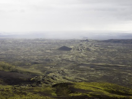 Mossy volcanic landscape