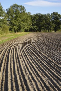 Grooves on a field. Germany