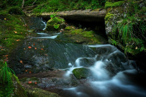 Wooden ladders over the stream in the gorges of the Slovak Paradise. Slovakia
