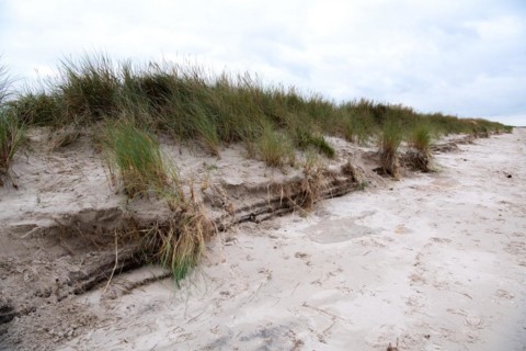 Natural beach in autumn