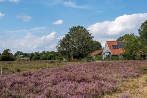 Buurserzand nature reserve