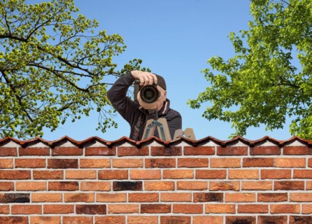 Paparazzi stands on a ladder and looks over a wall
