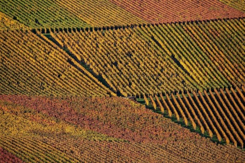 Drone image