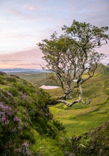 View of rocky landscape Quiraing at sunrise