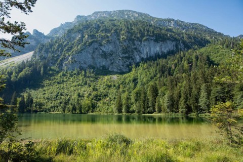 Frillensee water surface against a mountain backdrop with trees against a blue sky