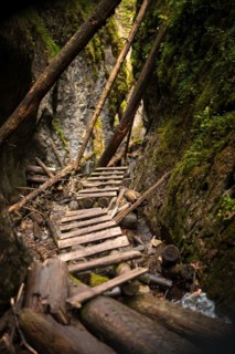Wooden ladders over the stream in the gorges of the Slovak Paradise. Slovakia