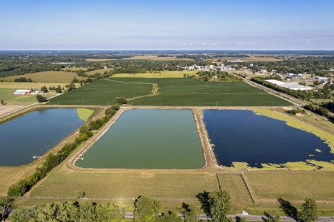 Three Oaks
